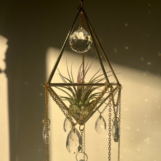 Hang in There: Fun DIY Plant Hanger Projects for Your Home