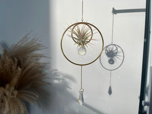 Gift Guide: Suncatchers for Every Occasion