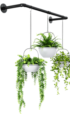 Hang in There: Fun DIY Plant Hanger Projects for Your Home