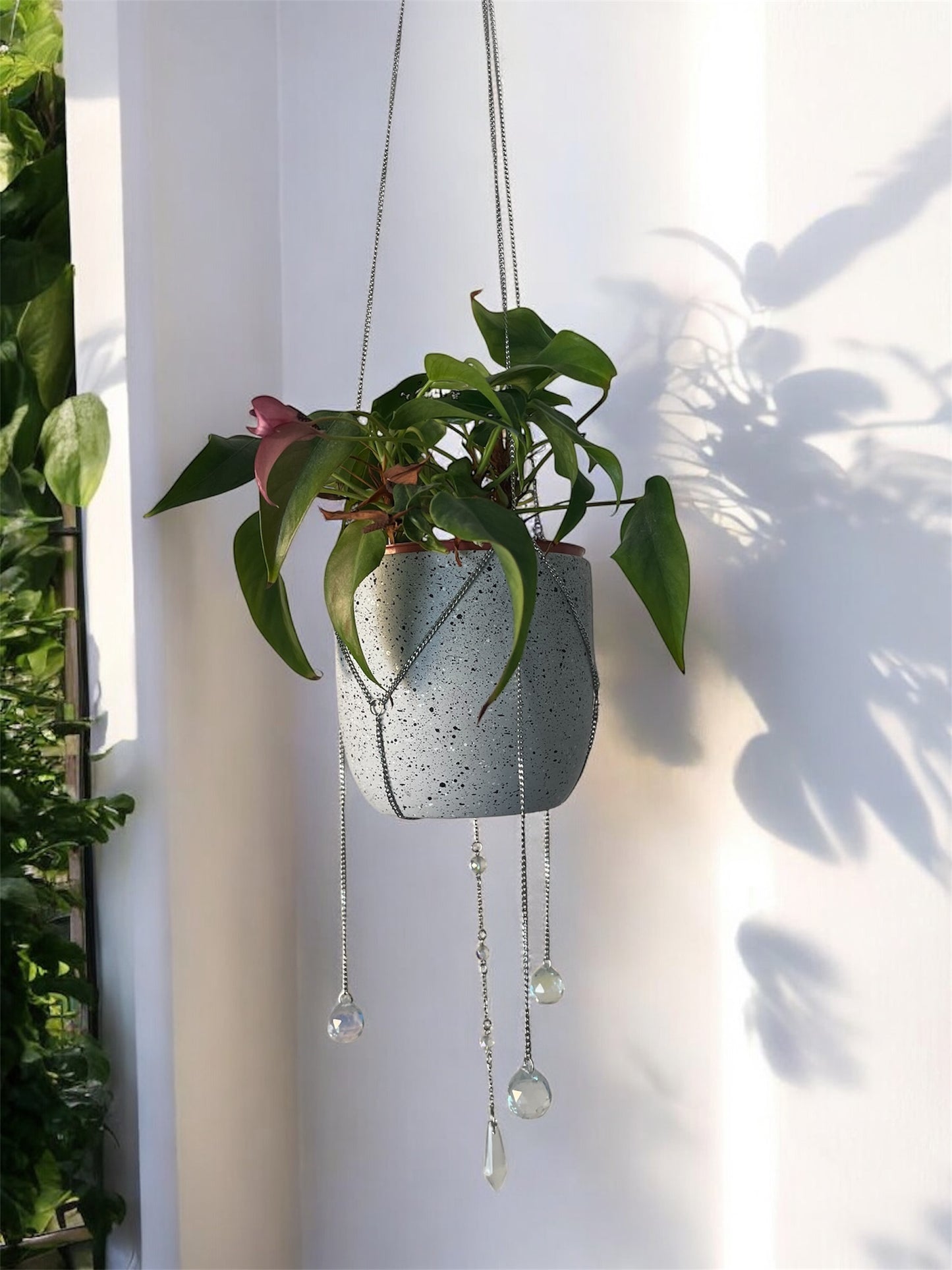 Charmed Plant Silver