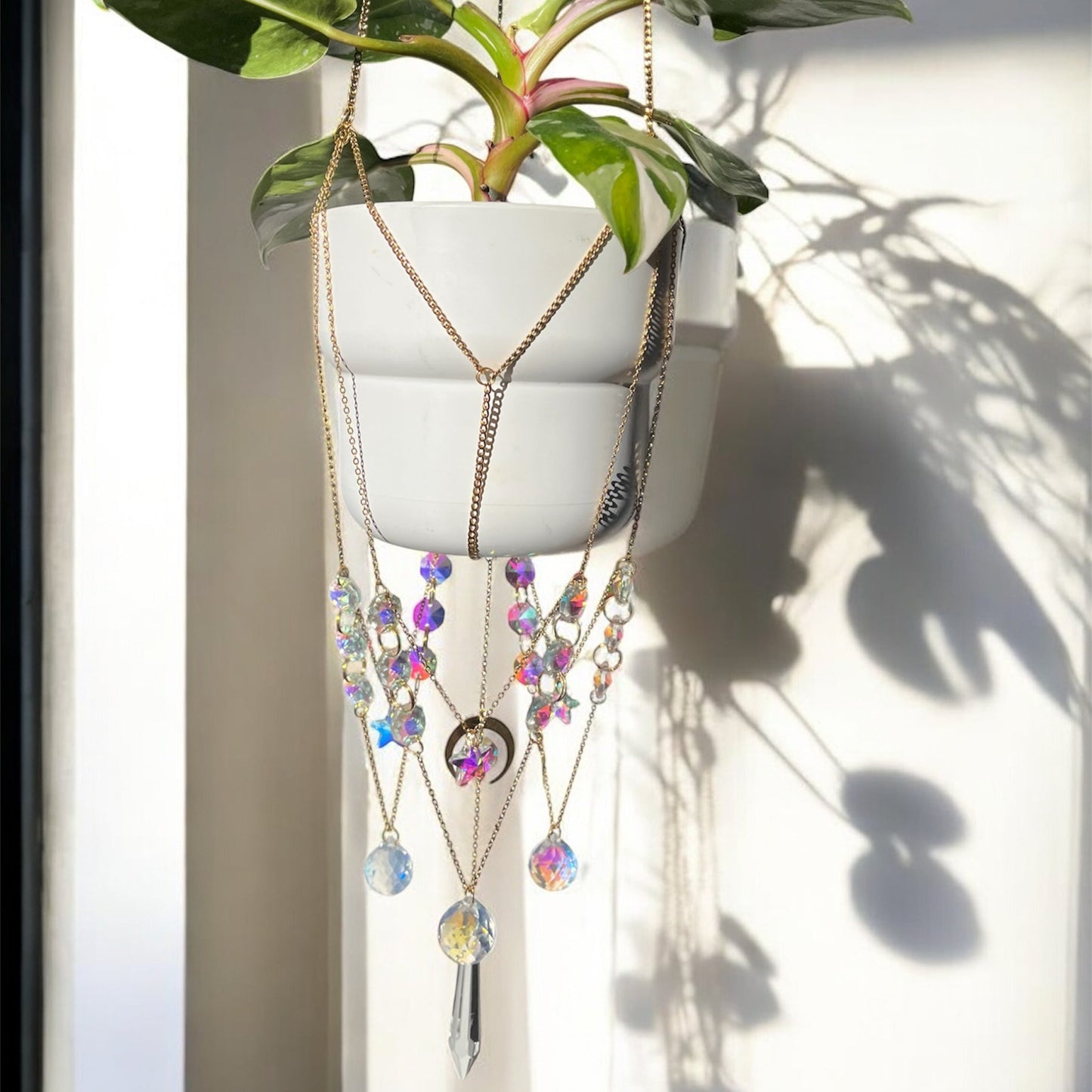 Medusa Plant Hanger