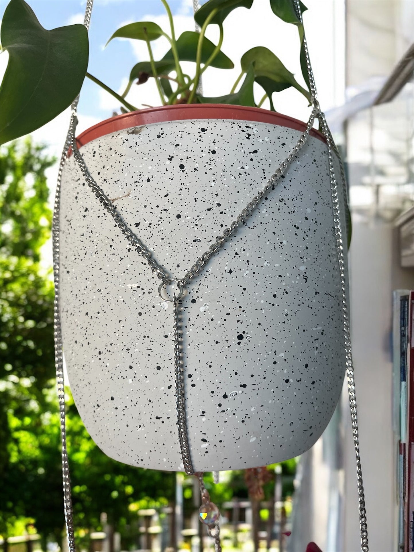 Charmed Plant Silver