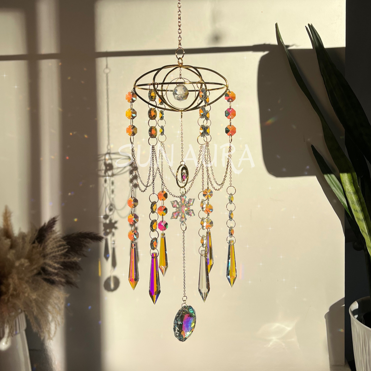 Sunlit Medusa