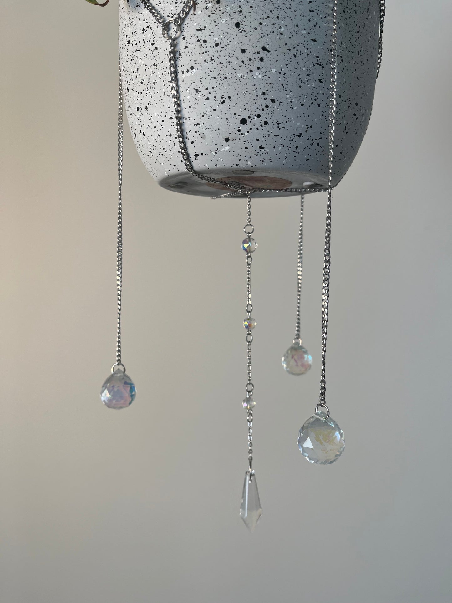 Charmed Plant Silver