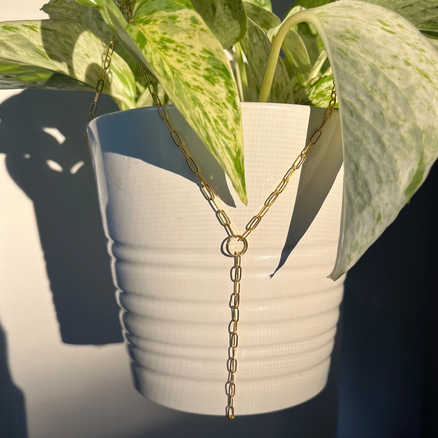 Golden Clip Planter