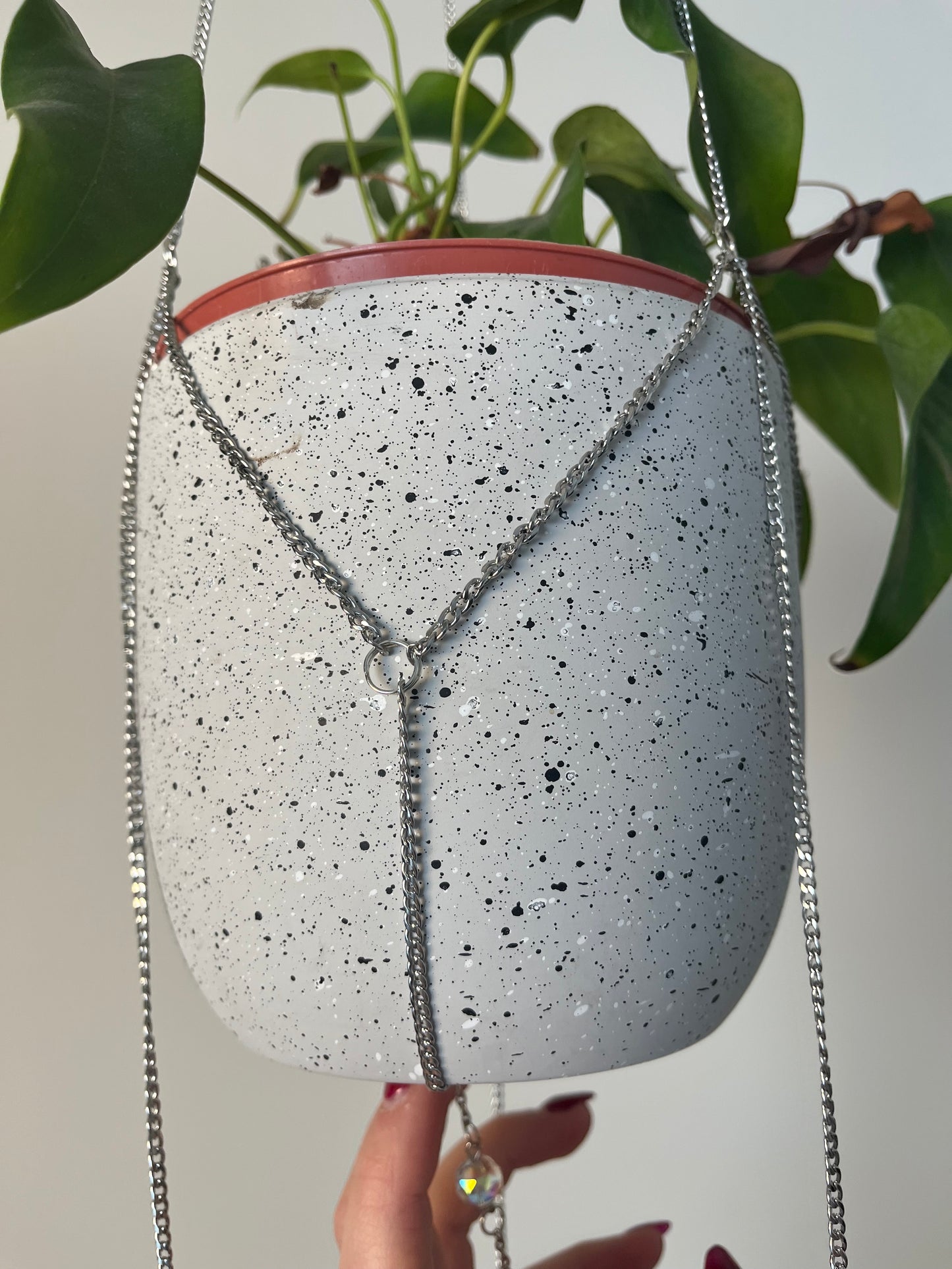 Charmed Plant Silver