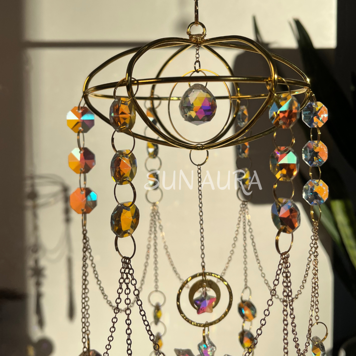 Sunlit Medusa
