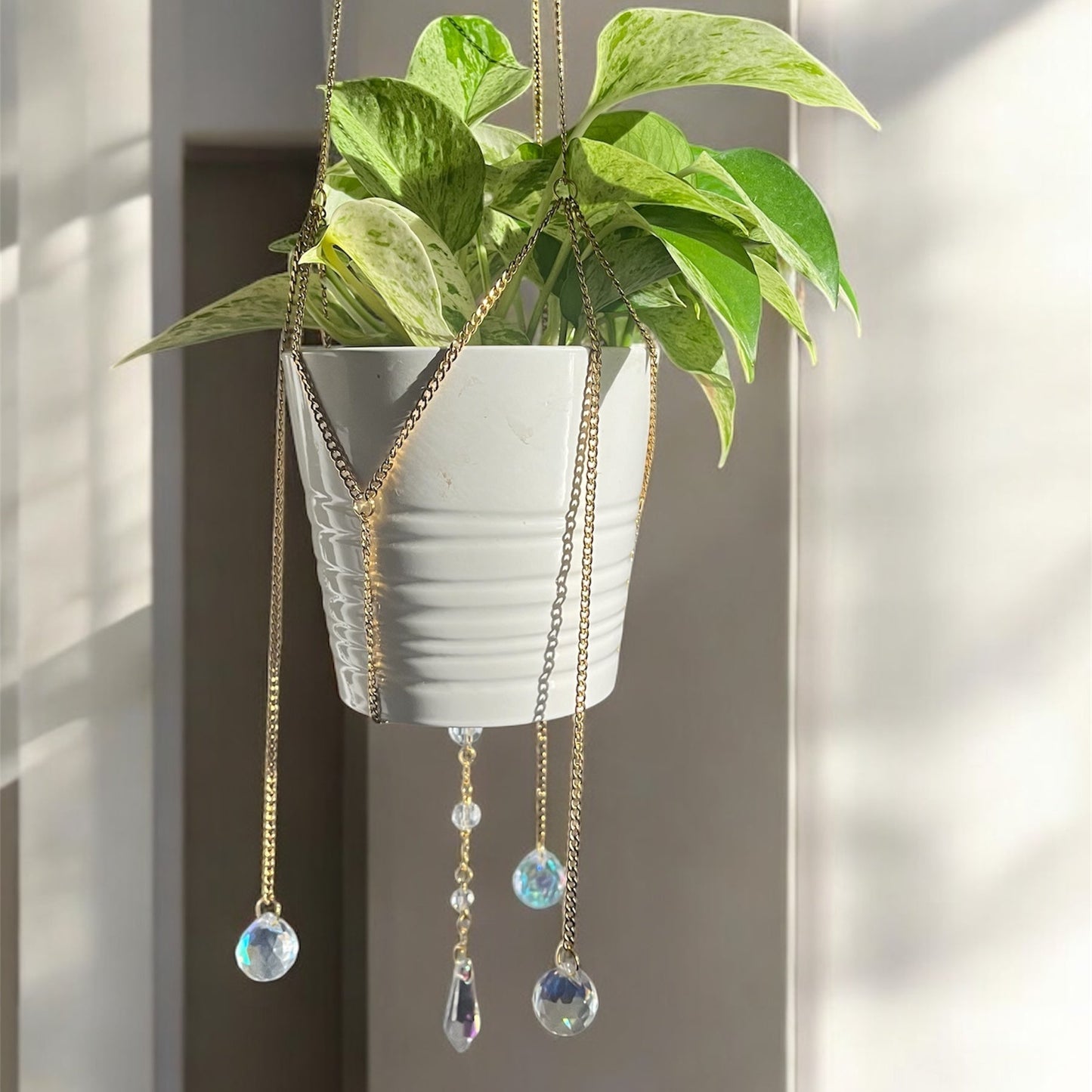 Hanging plant with decorative chain and beads against a neutral background