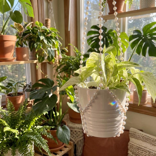 Indoor plant setup with a beaded plant hanger in a sunlit room.