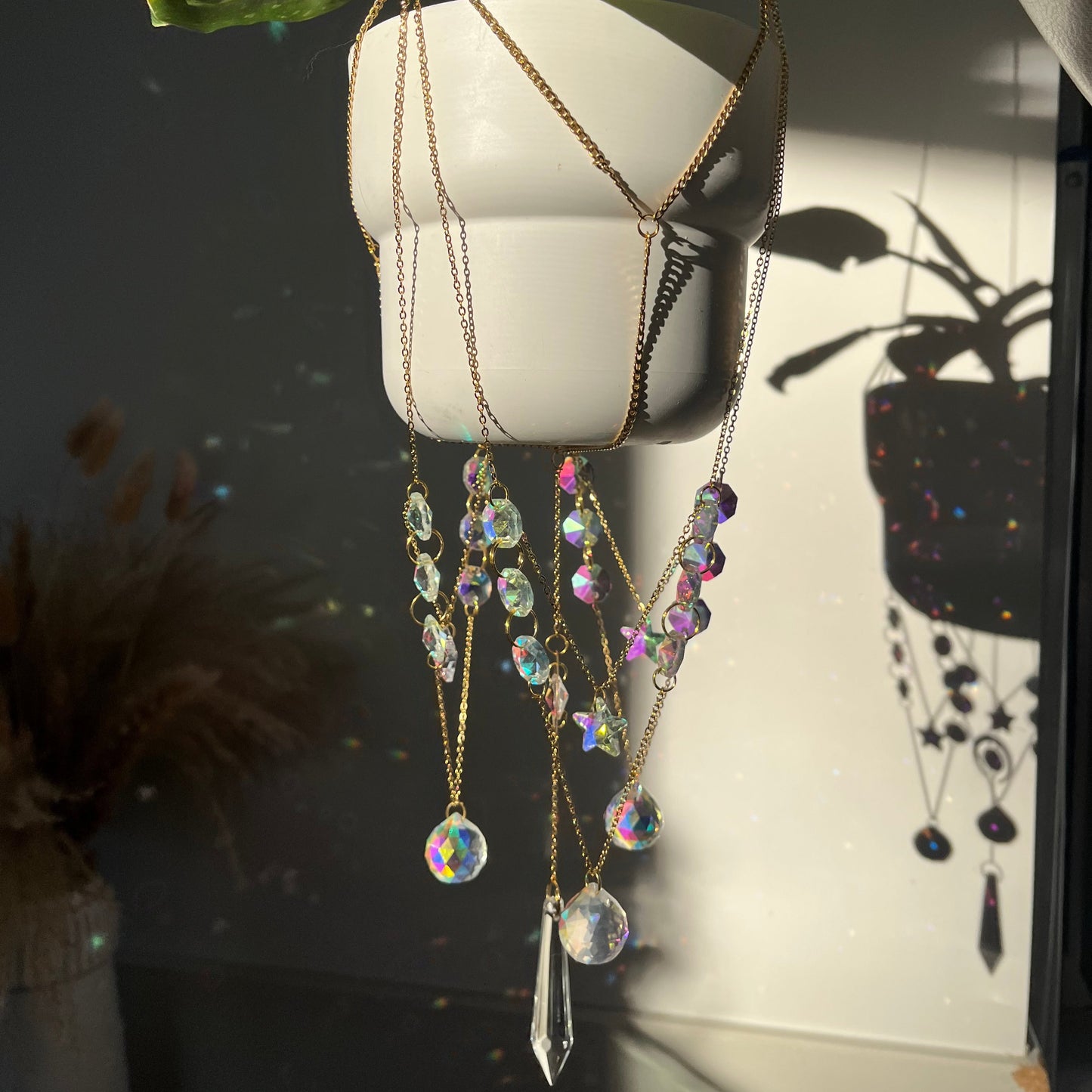 Medusa Plant Hanger