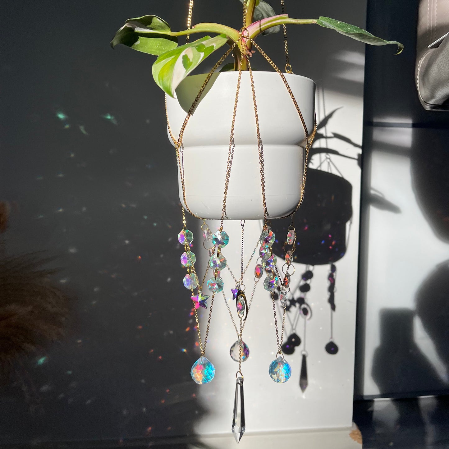 Collection of suncatchers displayed on a dark surface with a plant in the foreground.