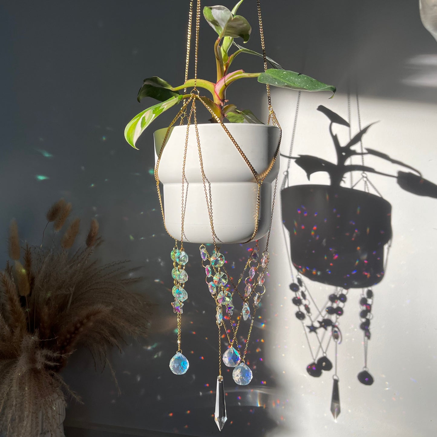 Hanging plant with decorative beads against a dark wall