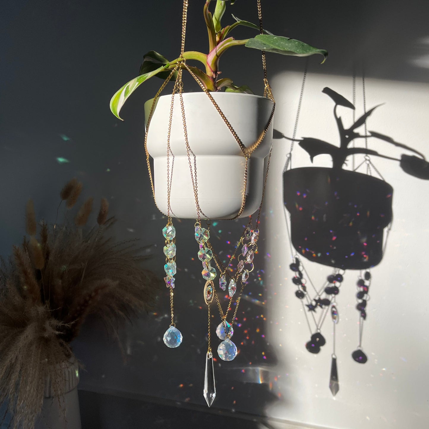 Hanging plant with decorative chains and a reflection of a plant on a mirror.