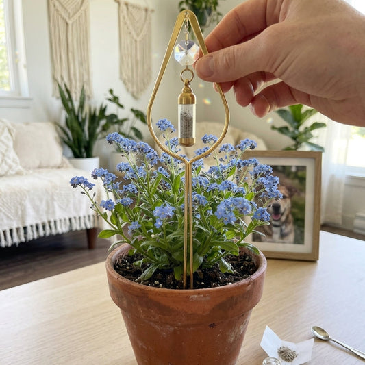 Potted plant with a decorative gold stand on a table, with a hand holding a small container.