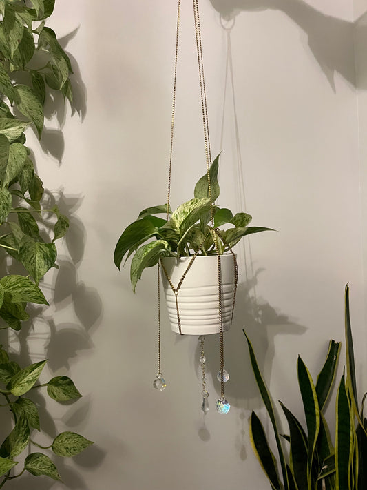 The Art of Choosing the Perfect Hook for Your Hanging Plant