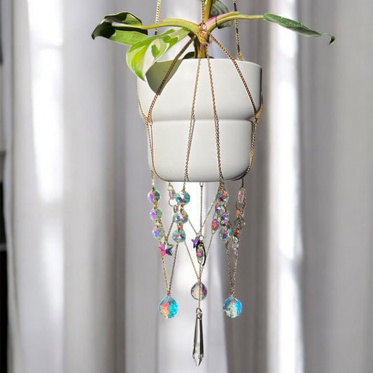 Medusa Plant Hanger