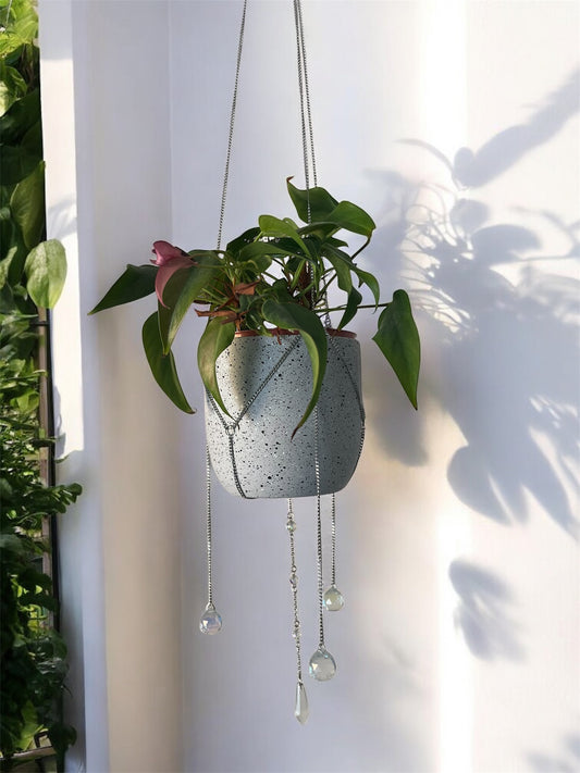Charmed Plant Silver