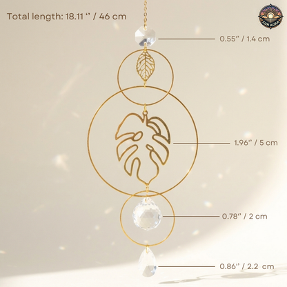 Decorative hanging plant with measurements on a light background