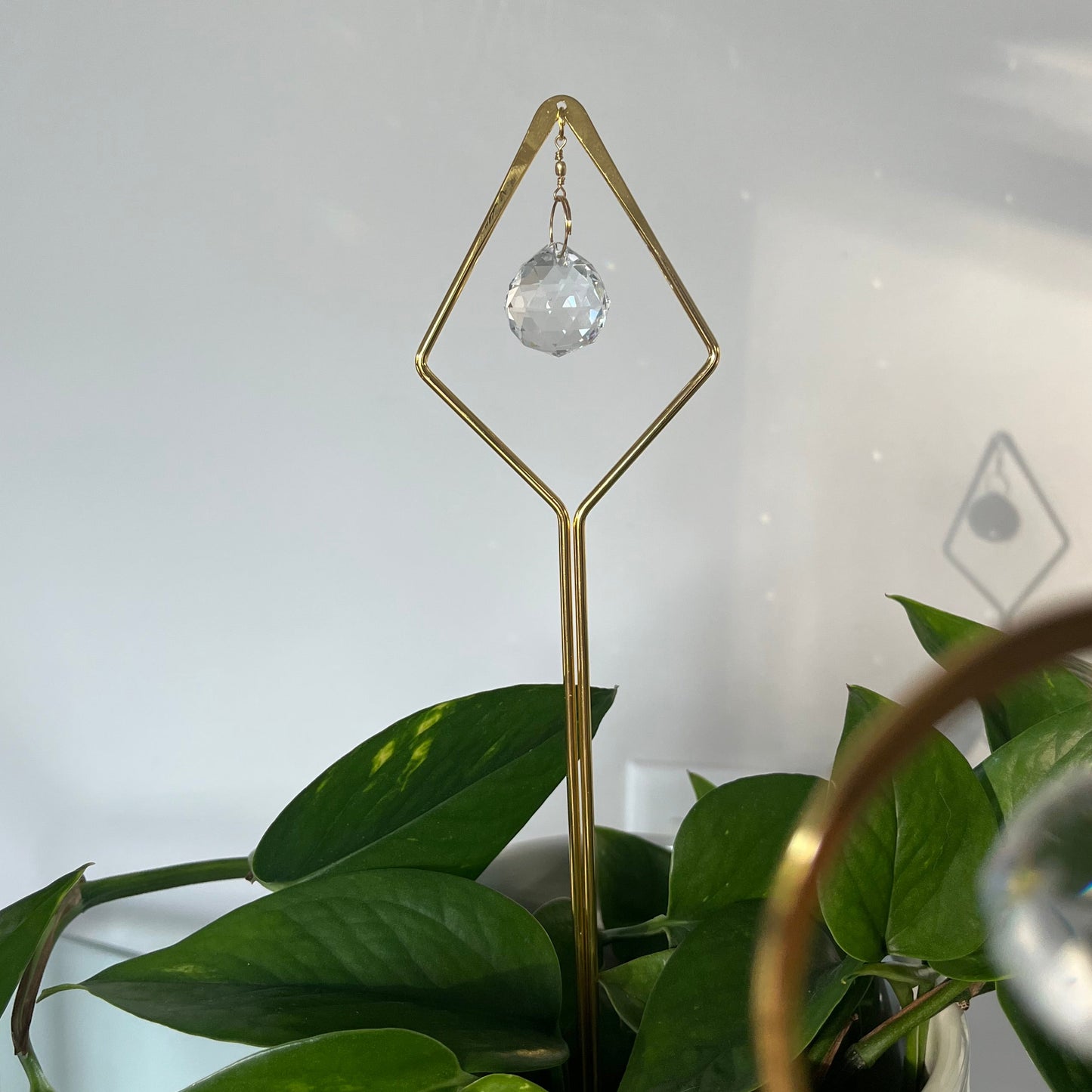 Attrape-soleil pour plantes
