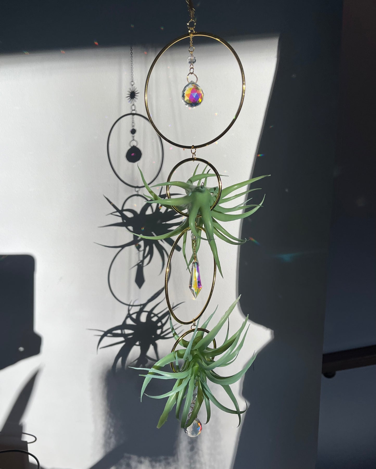 Air plant holder