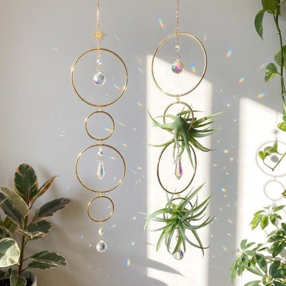 Air plant holder