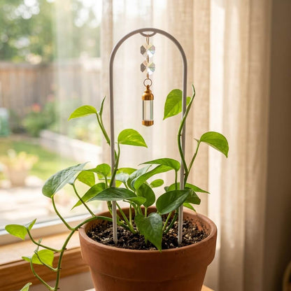 Potted plant with a decorative metal stand in front of a window with curtains.