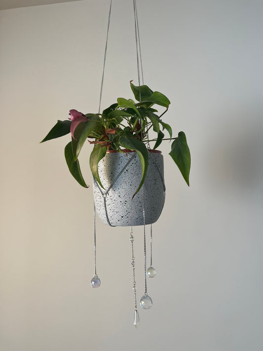 Charmed Plant Silver