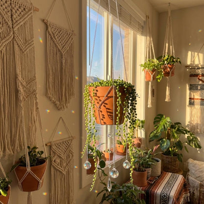 Indoor setting with hanging plants and macrame wall art