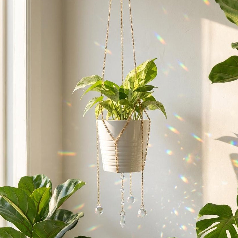 Hanging plant with decorative macrame holder in a bright room with large windows.