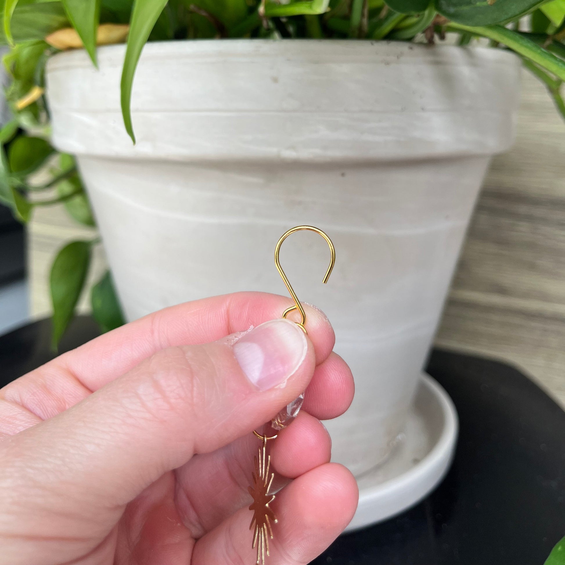 Hand holding a gold earring near a plant