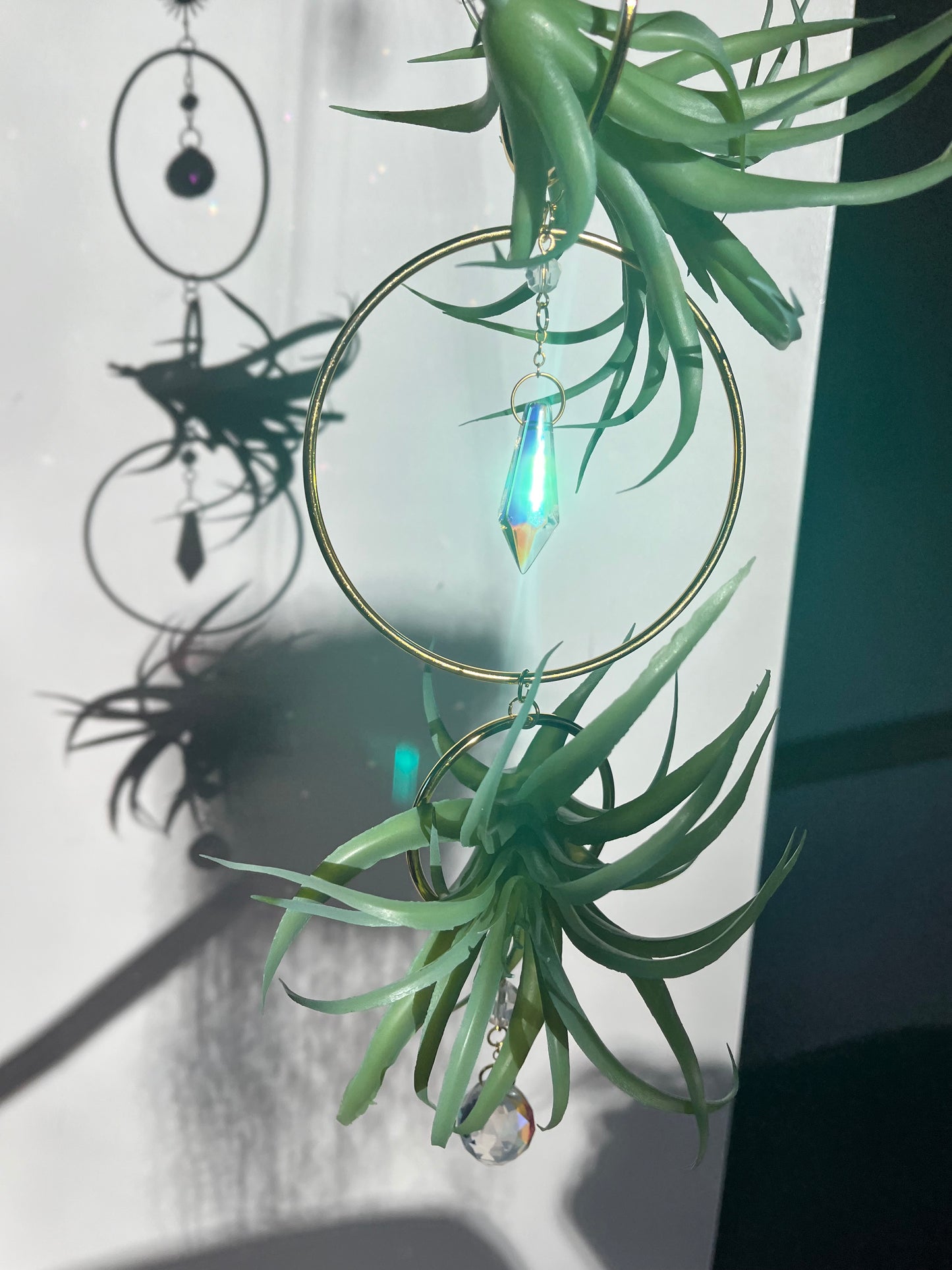 Air plant holder