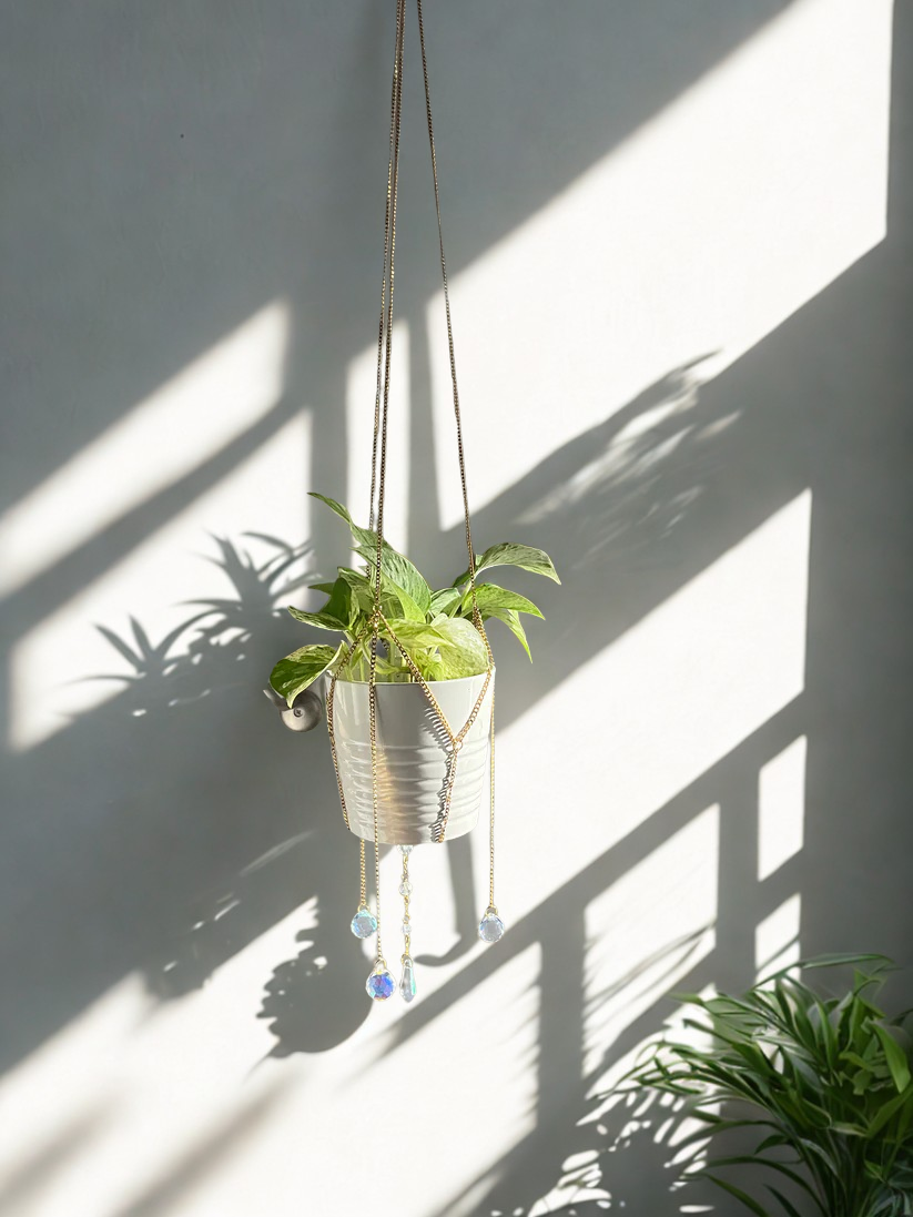 Hanging plant in a macrame holder against a white wall with shadows.