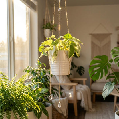 Hanging plant with fairy lights in a room with other plants