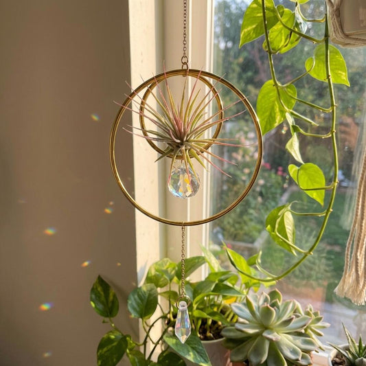 Decorative hanging plant with crystal accents in a home setting