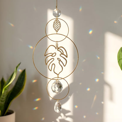 Monstera