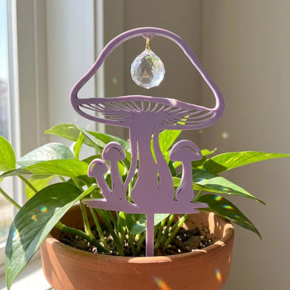 Magic Mushroom