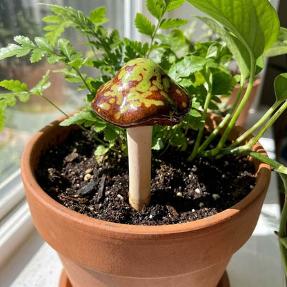 Potted plant with a small mushroom growing out of it