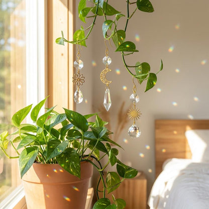 Potted plant with decorative hanging elements in a bright room