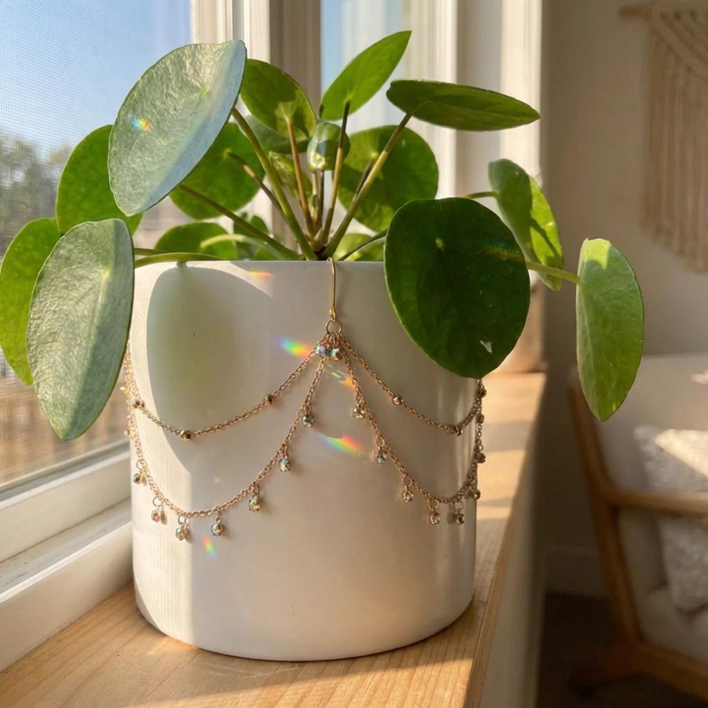 Potted plant with a necklace draped over it on a windowsill