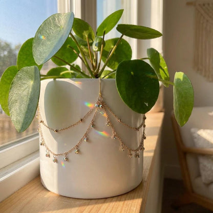 Potted plant with a necklace draped over it on a windowsill