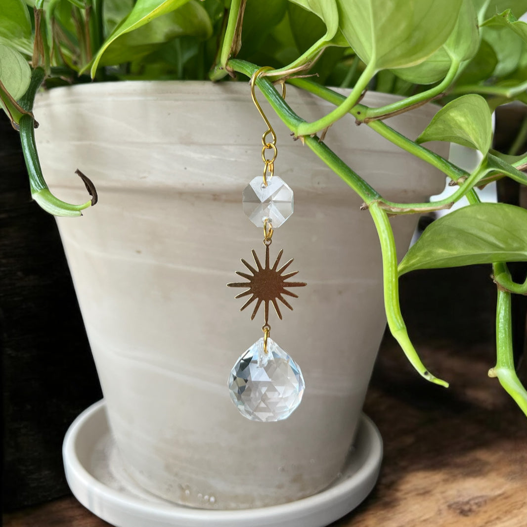 Potted plant with a decorative crystal hanging in front