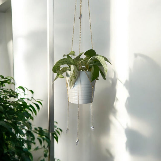 Hanging plant in a white pot with a decorative string against a light background