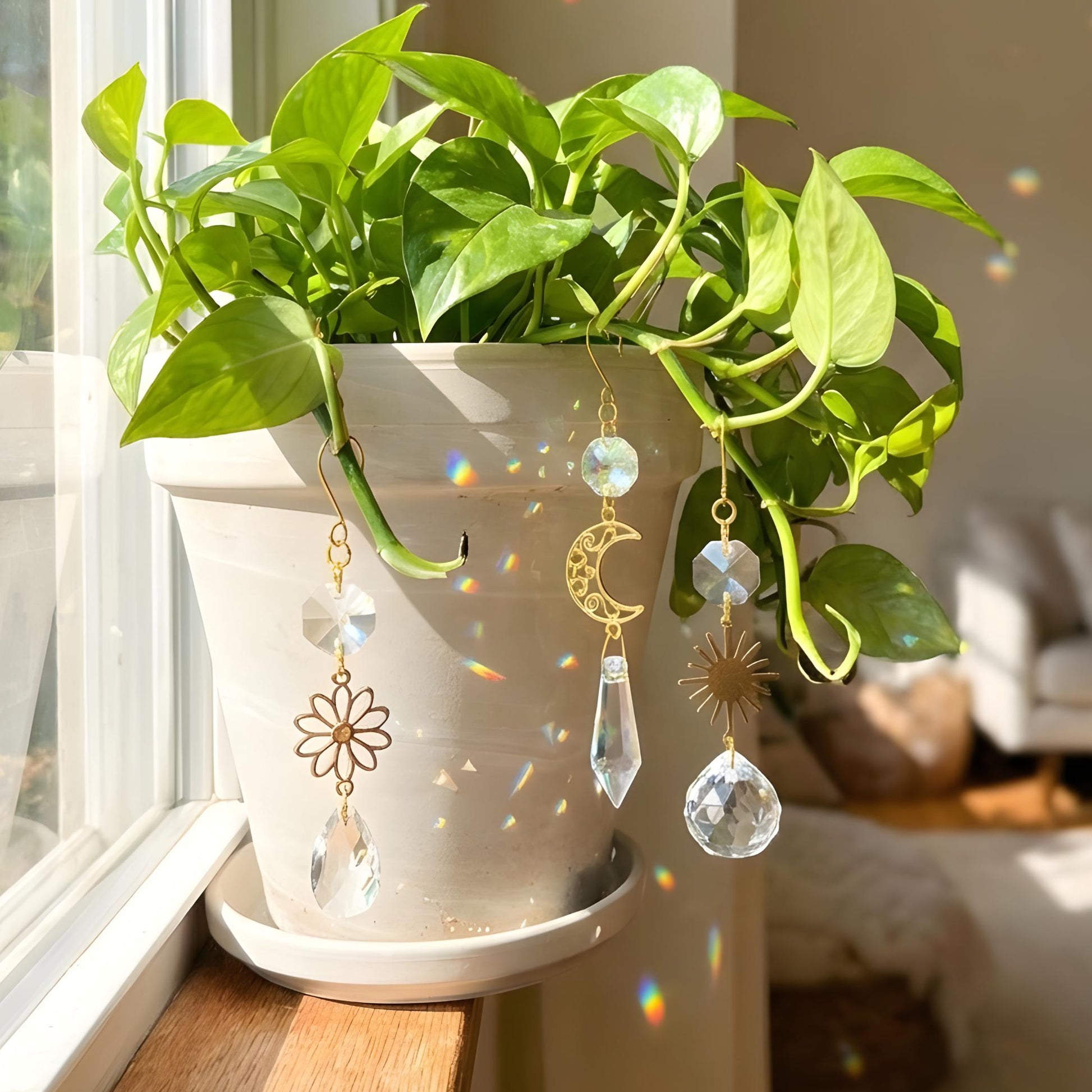 Potted plant with decorative hanging earrings on a windowsill