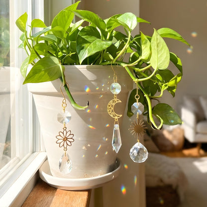 Potted plant with decorative hanging earrings on a windowsill