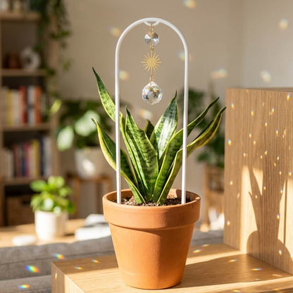 Arched Aura