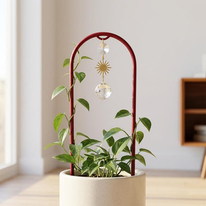 Arched Aura