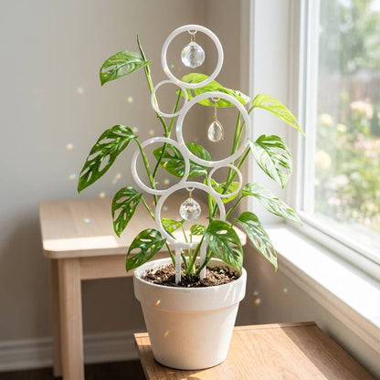 Potted plant with a decorative white spiral trellis on a wooden surface near a window.